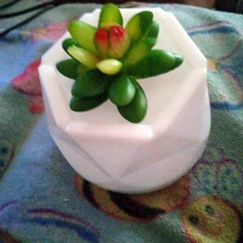 Home decor SUCCULENT DIFFUSER